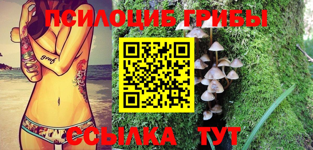 Псилоцибиновые грибы Cubensis  Вход с VPN  Ейск 